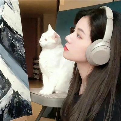 攻壳机动队:崛起4